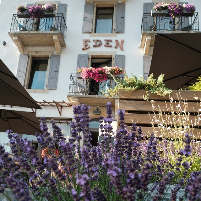 Bar & Lounge Hotel Eden Les Praz Chamonix